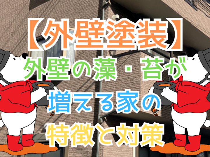 外壁の藻・苔が増える家の特徴と対策